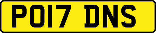 PO17DNS