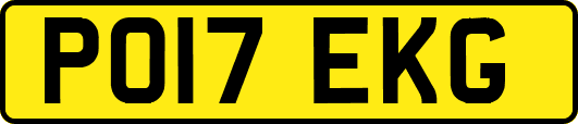 PO17EKG