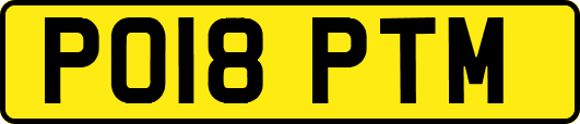 PO18PTM