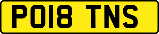 PO18TNS