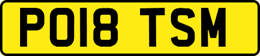 PO18TSM