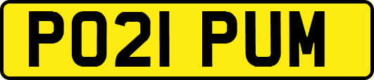 PO21PUM