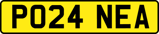 PO24NEA