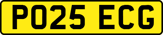 PO25ECG
