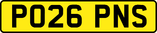 PO26PNS