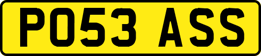 PO53ASS