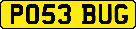 PO53BUG
