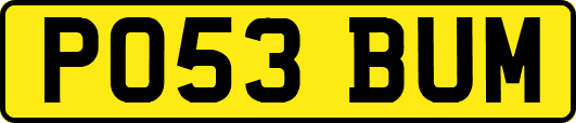 PO53BUM