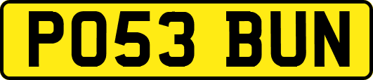 PO53BUN