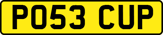 PO53CUP