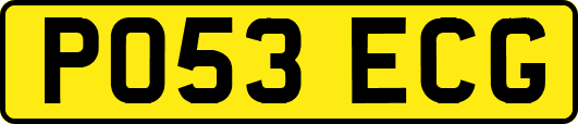 PO53ECG