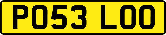 PO53LOO
