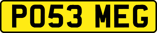 PO53MEG