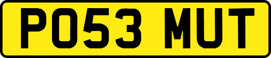 PO53MUT