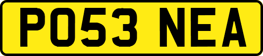 PO53NEA