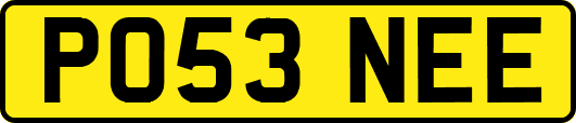 PO53NEE