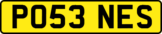 PO53NES