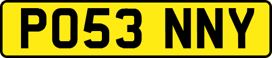 PO53NNY