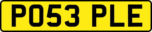 PO53PLE