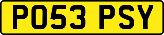 PO53PSY