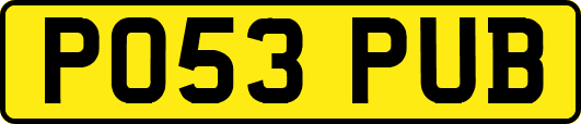 PO53PUB