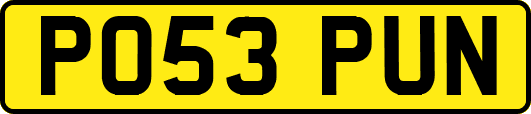PO53PUN