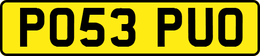PO53PUO