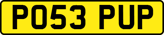 PO53PUP
