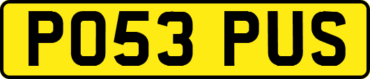 PO53PUS