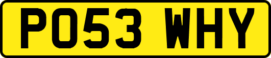 PO53WHY
