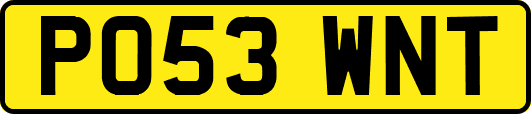 PO53WNT