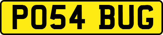 PO54BUG