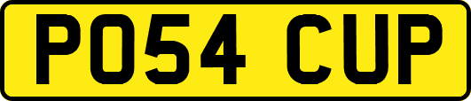 PO54CUP