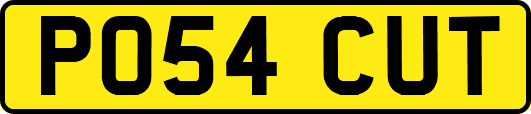 PO54CUT