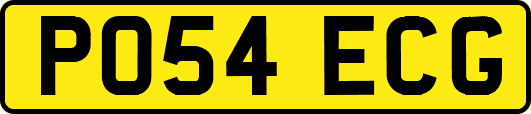 PO54ECG