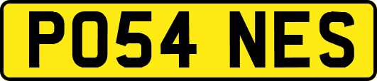 PO54NES