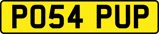 PO54PUP