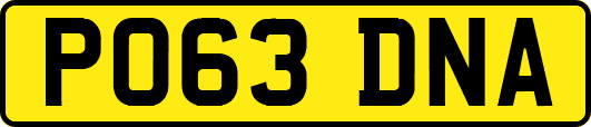 PO63DNA