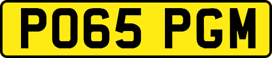 PO65PGM