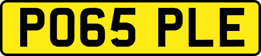 PO65PLE