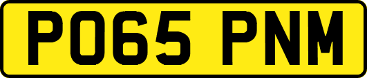 PO65PNM