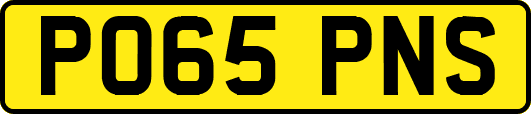 PO65PNS