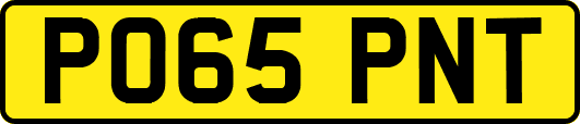 PO65PNT