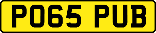 PO65PUB