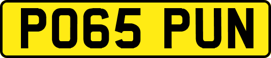 PO65PUN