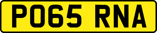 PO65RNA