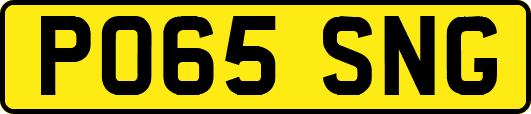 PO65SNG