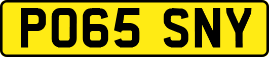 PO65SNY