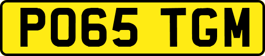 PO65TGM
