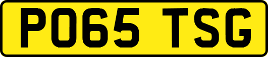 PO65TSG